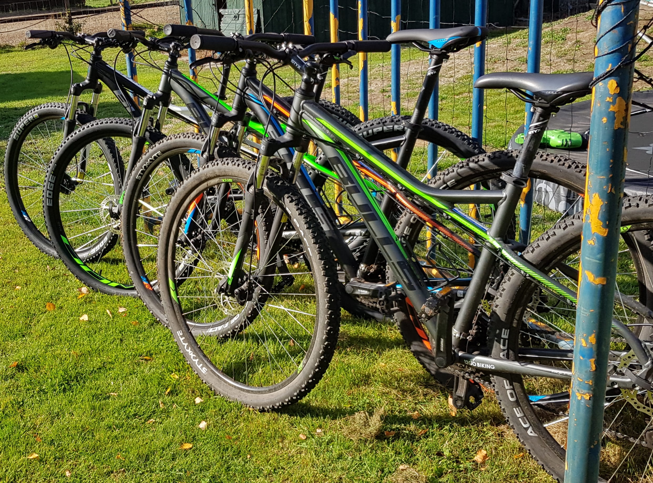 Mountainbikes 29 inch Fietsverhuur lunteren verhuur fietsen mountainbike Veluwe elektrische fietsen heide Mountainbikes 29 inch Fietsverhuur lunteren verhuur fietsen mountainbike Veluwe elektrische fietsen heide